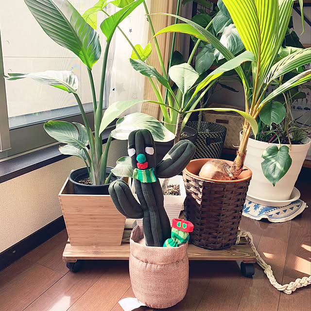 sohanaさんの実例写真