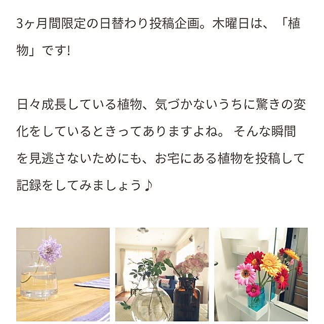 niko3さんの実例写真