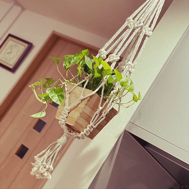Nakakoのイケア-BOTANISK ボータニスク 植木鉢つり下げ用ホルダーの家具・インテリア写真
