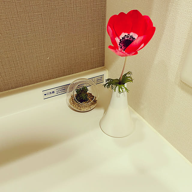 dayuccoさんの実例写真
