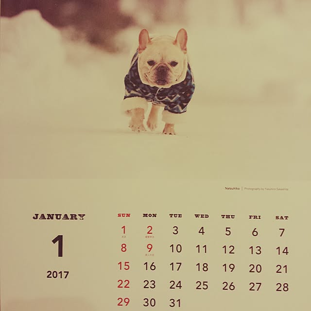 yukoさんの実例写真