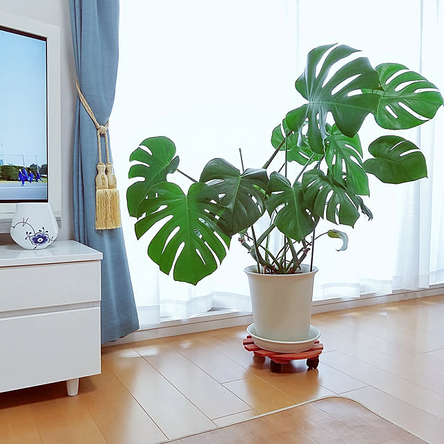 tokimekiroomさんの実例写真