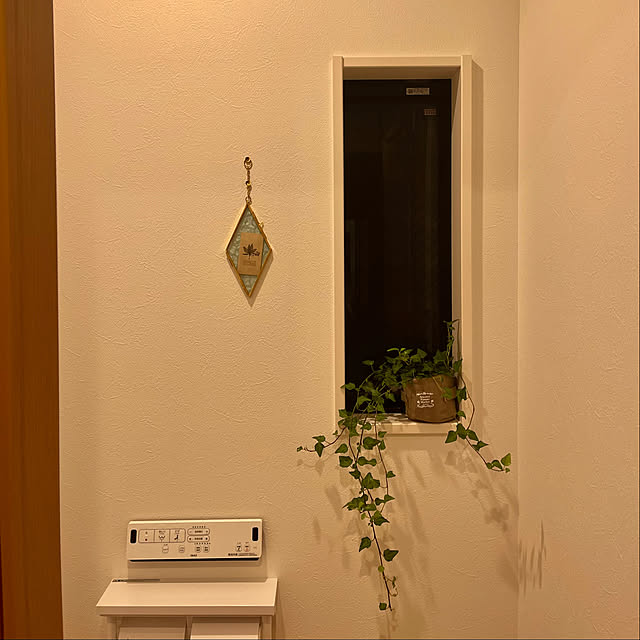 バス/トイレ/観葉植物のインテリア実例 - 2023-07-20 20:34:39