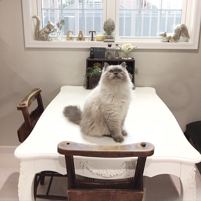 yuchiさんの実例写真