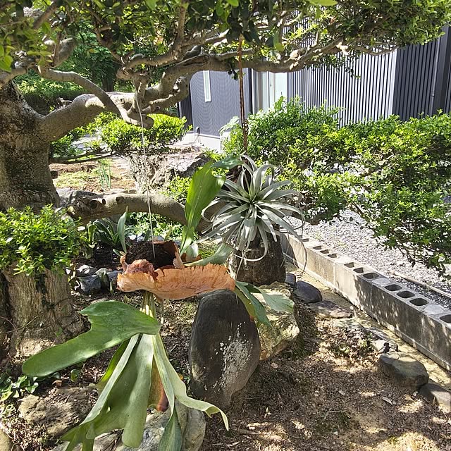 Rubiconさんの実例写真