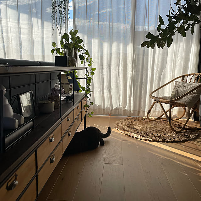 sakkiy37さんの実例写真