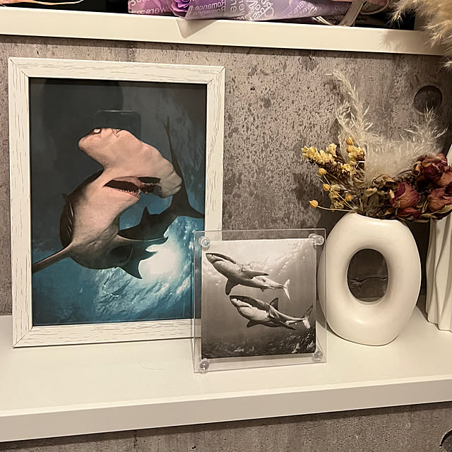 samechanさんの実例写真