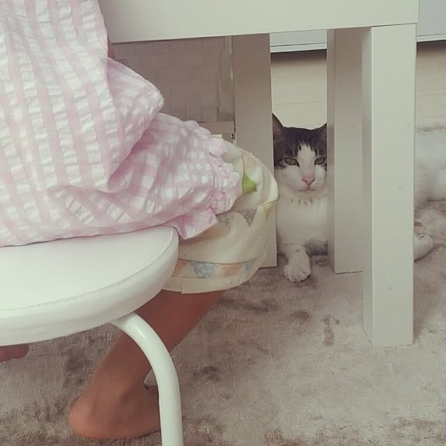 runayucoさんの実例写真
