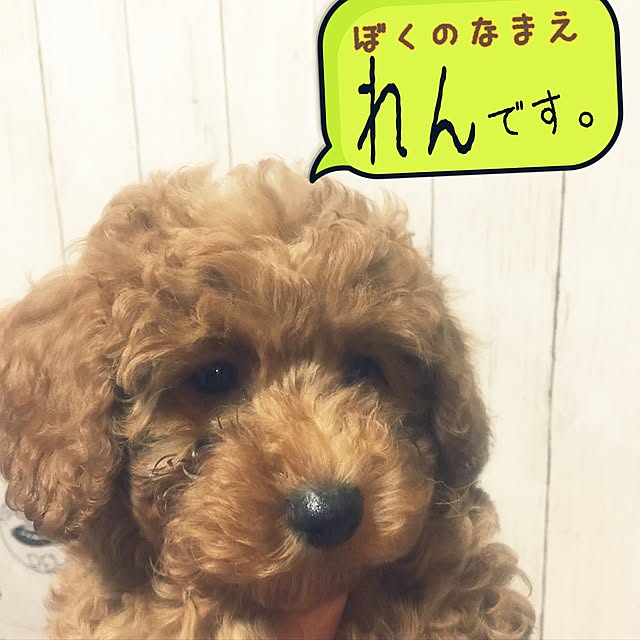 sei.kan.hide.chiyoさんの実例写真