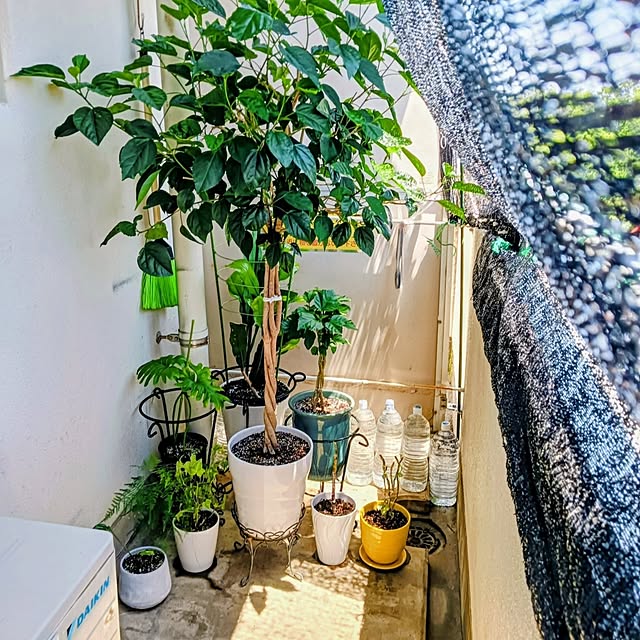 hanachanさんの部屋