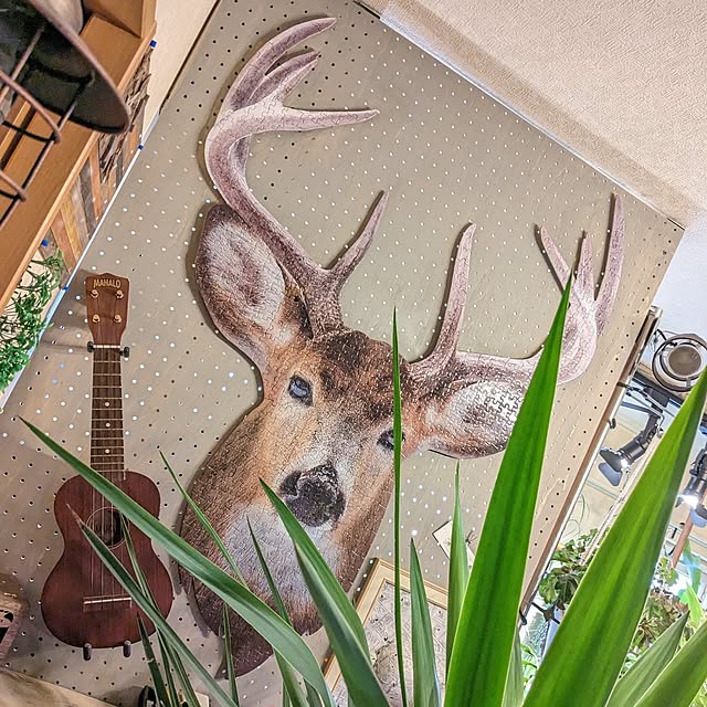 GINさんの実例写真