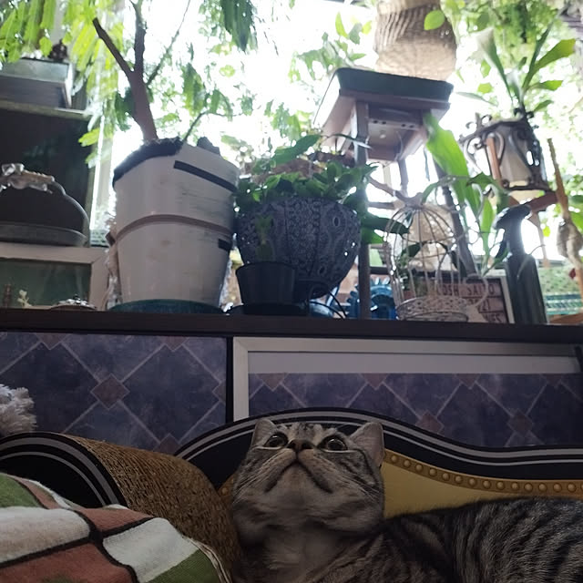 hiro3さんの実例写真