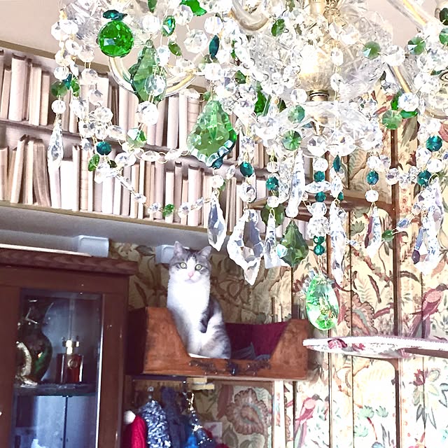 emmyyさんの実例写真