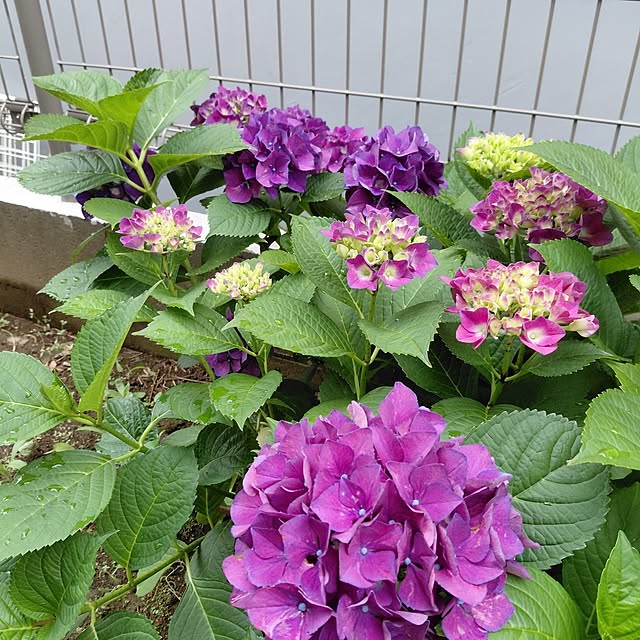 tammyさんの部屋
