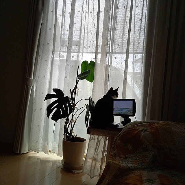 civicglさんの実例写真