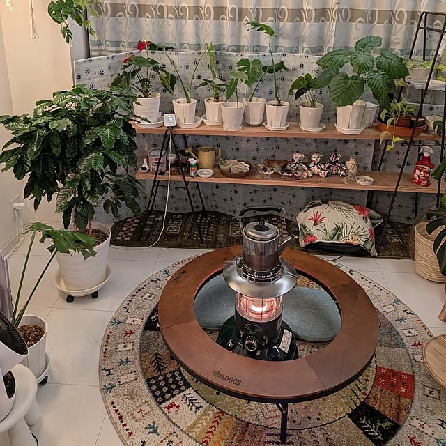 kolo92さんの実例写真