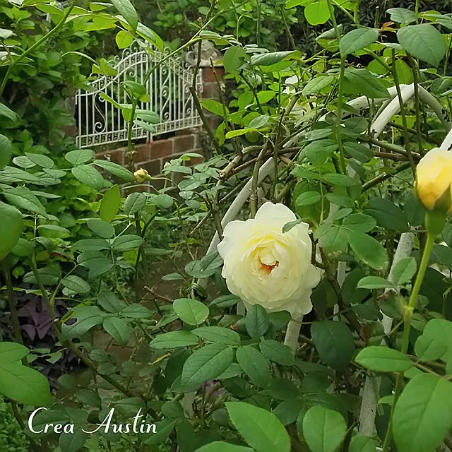 s.mamaさんの実例写真