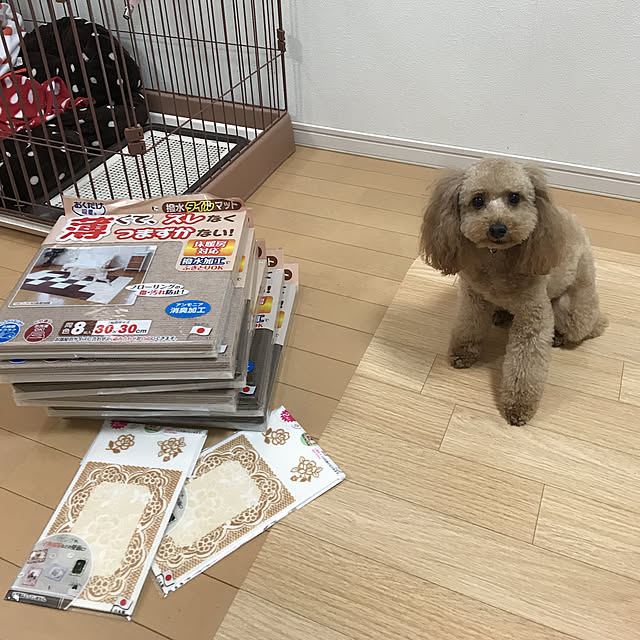 akiasaさんの実例写真
