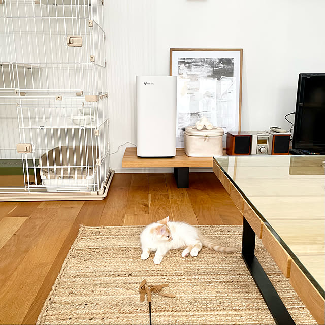 Kaneyukiさんの実例写真