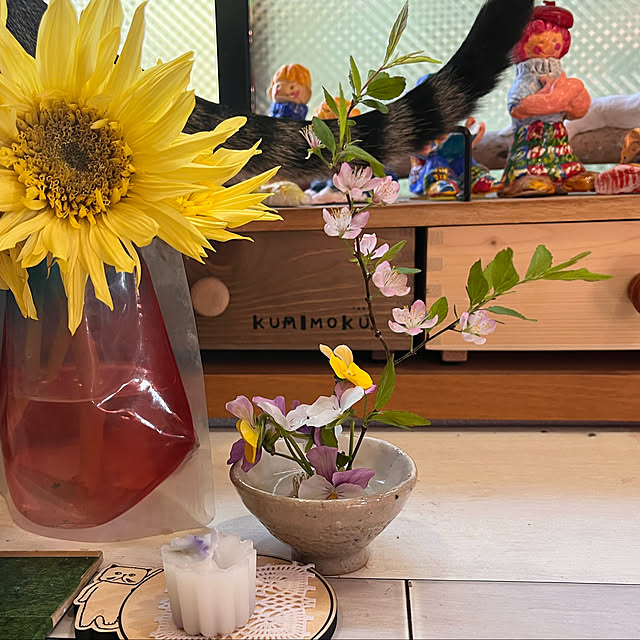 jijiさんの実例写真