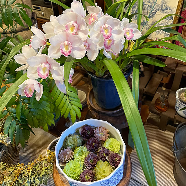 shin0719さんの実例写真