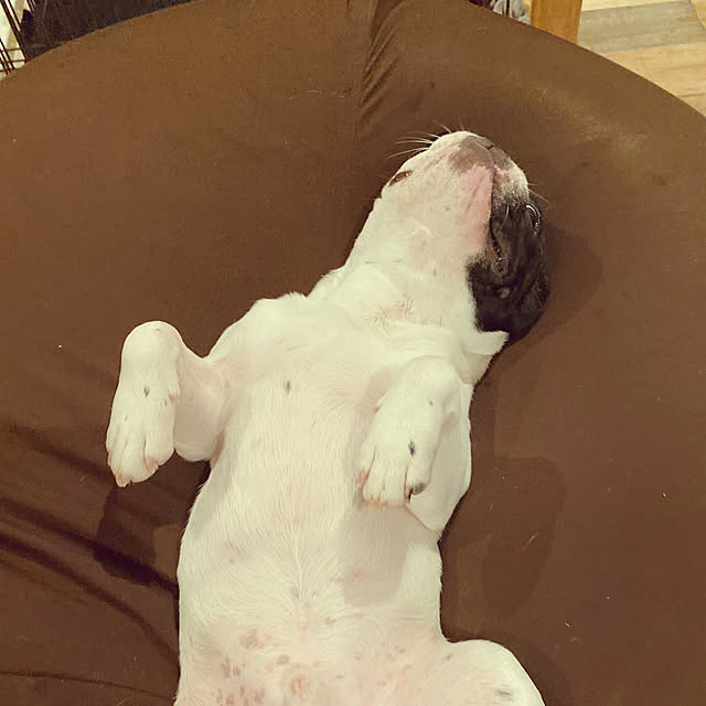 mochirenaさんの実例写真