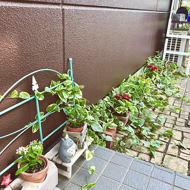 oyoさんの実例写真