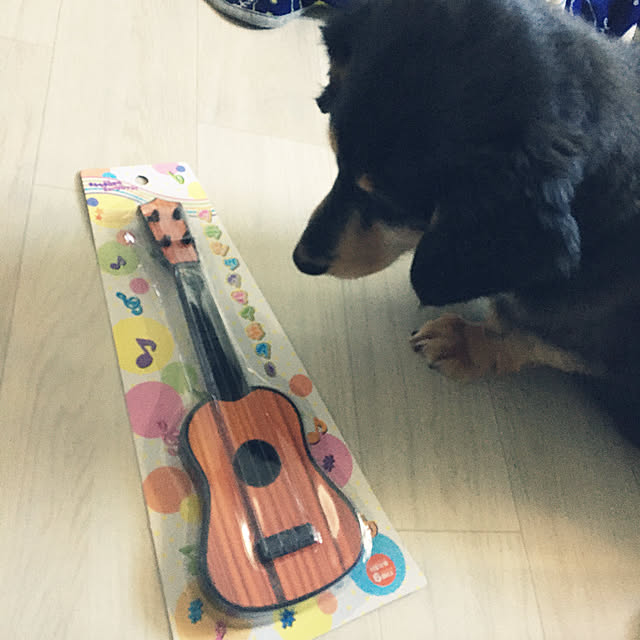 ohanaさんの実例写真