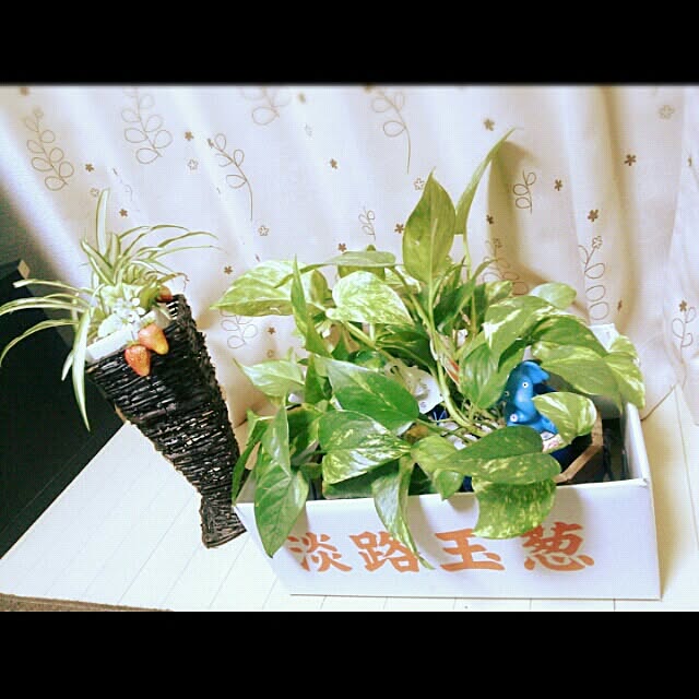 Chiharuさんの実例写真