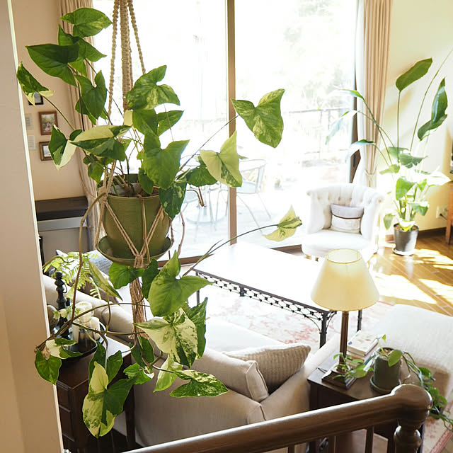 cozyhome_naokoさんの実例写真