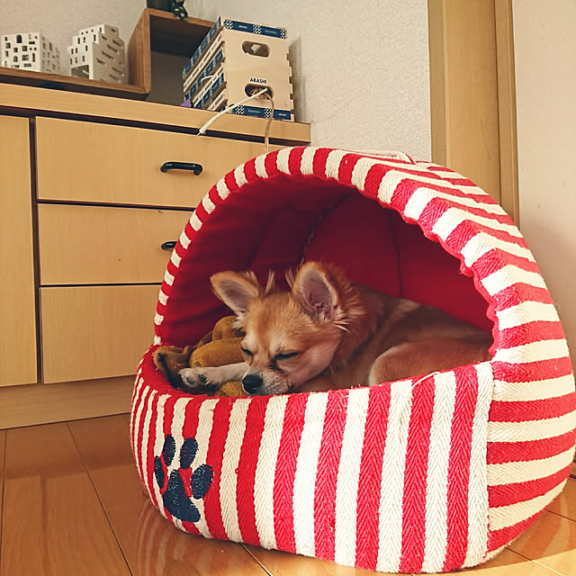 nattimomoさんの実例写真