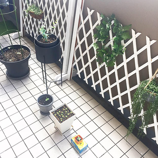 mizさんの実例写真