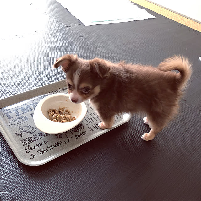 chocoさんの実例写真