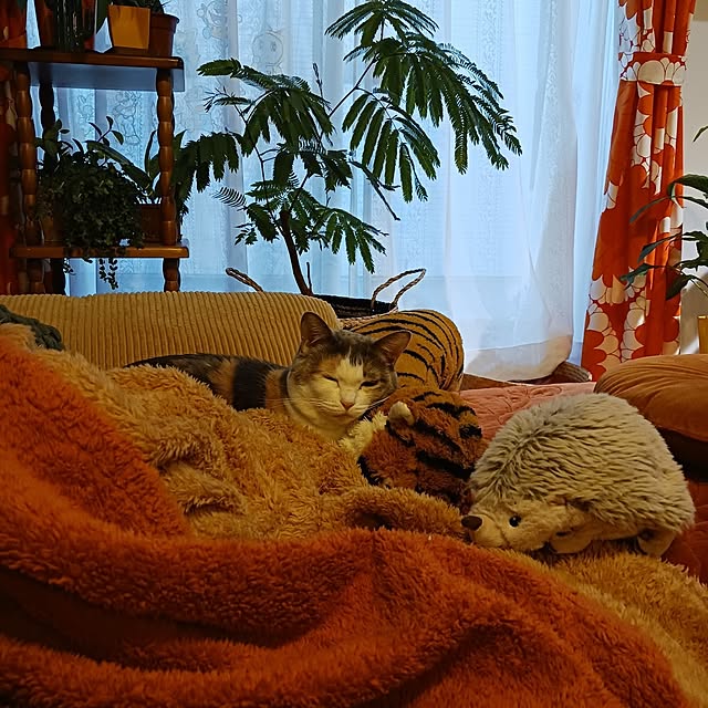 funnyfaceさんの部屋