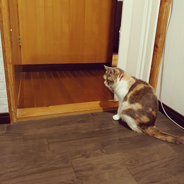 fukuさんの実例写真