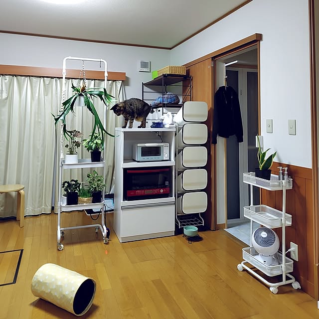 nachiさんの部屋