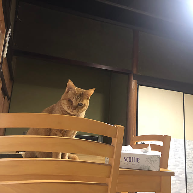 conatuさんの実例写真