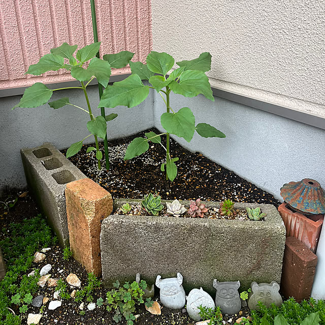 pekoさんの部屋
