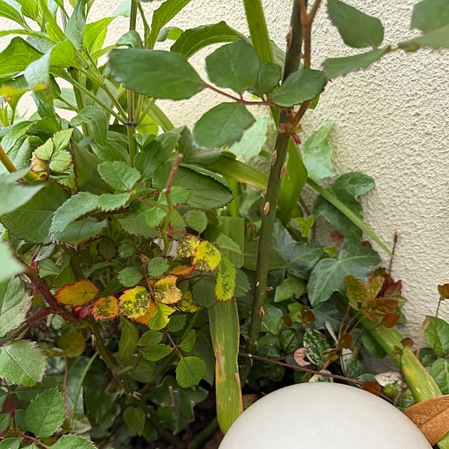 ma...さんの部屋