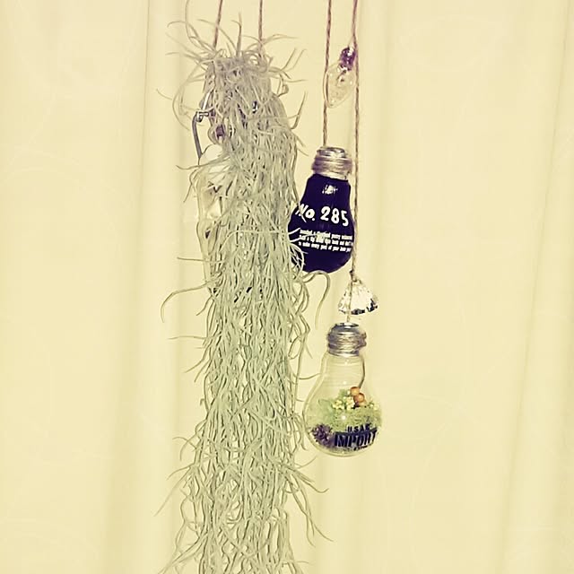 slyさんの実例写真
