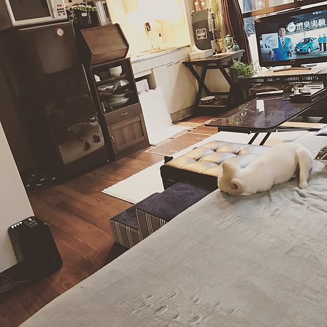 sacchiさんの実例写真