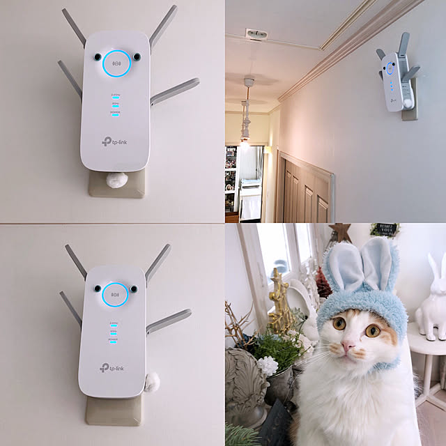 yuchiさんの実例写真