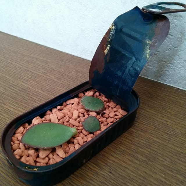 kojyさんの実例写真