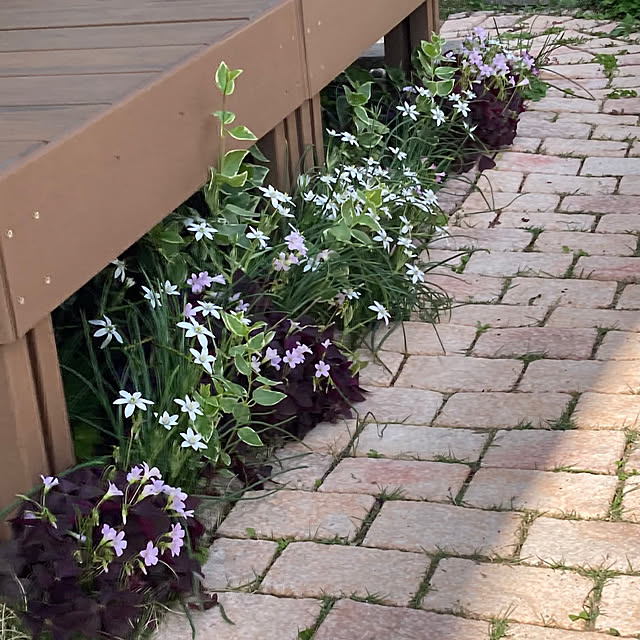 junjunさんの実例写真