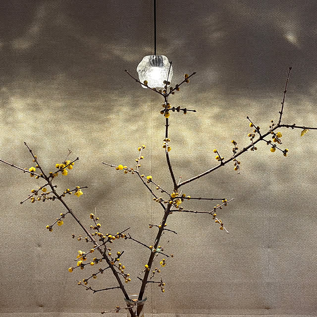 bonber0212さんの実例写真