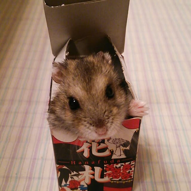 miwa14さんの実例写真