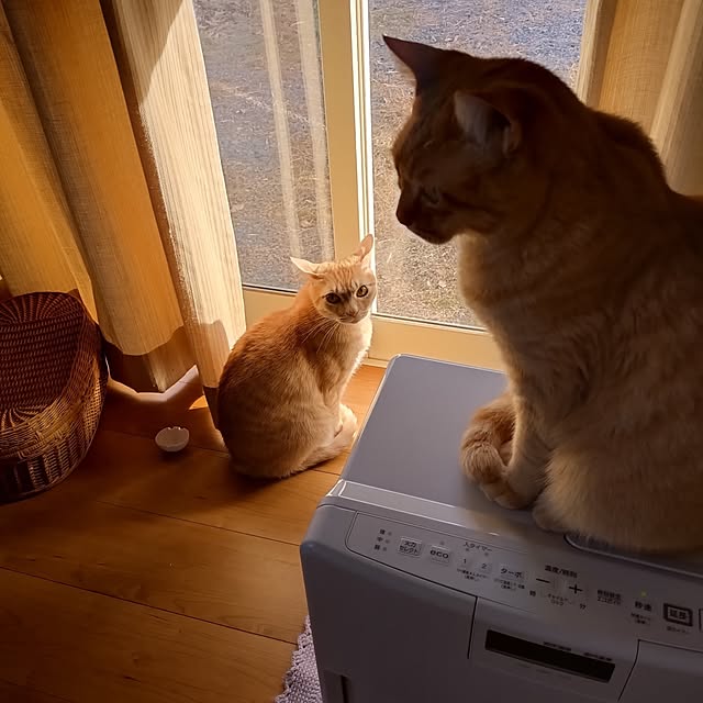 mayutan.さんの部屋