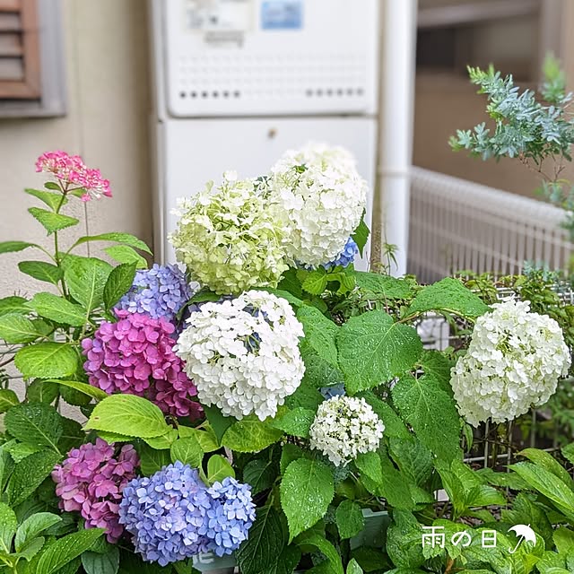 junさんの部屋