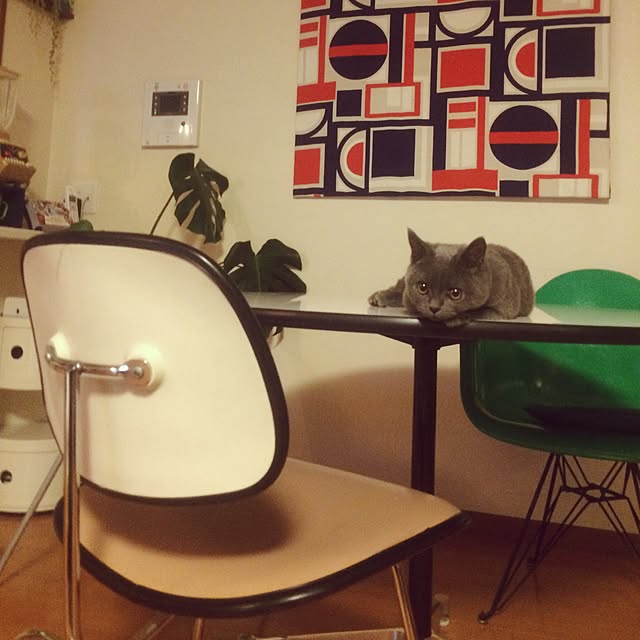 Shojiさんの実例写真