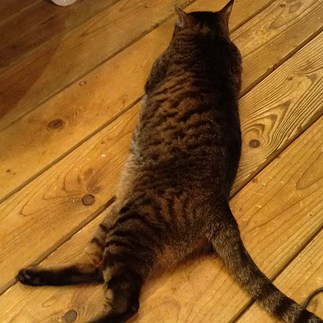 sorakumoriさんの実例写真